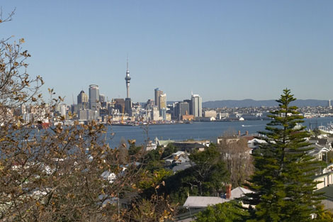 Typical Auckland Shot