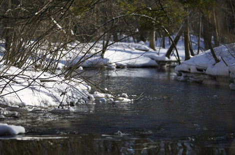 The winter Stream