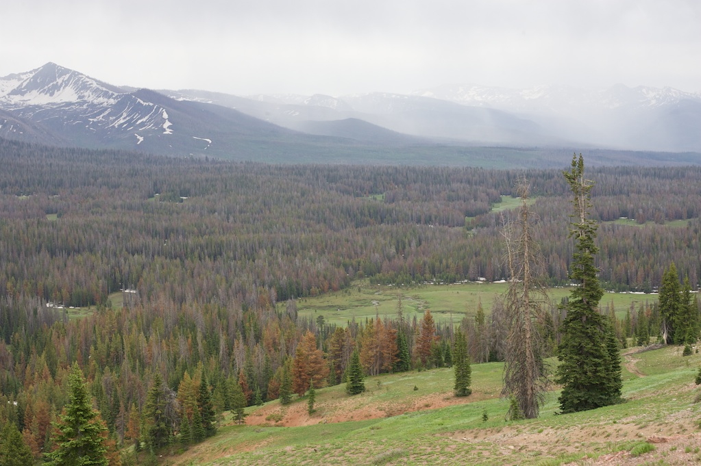 High Valley