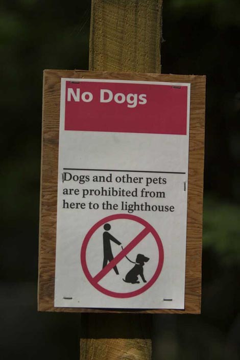 no dogs