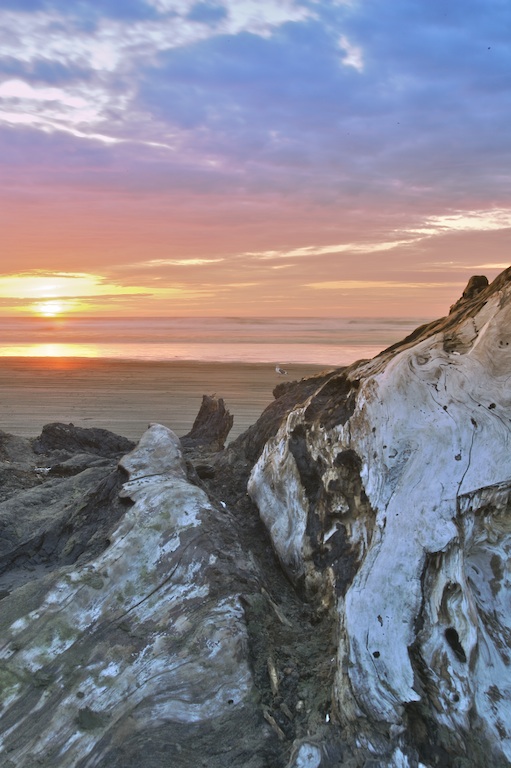 Pacific sunset