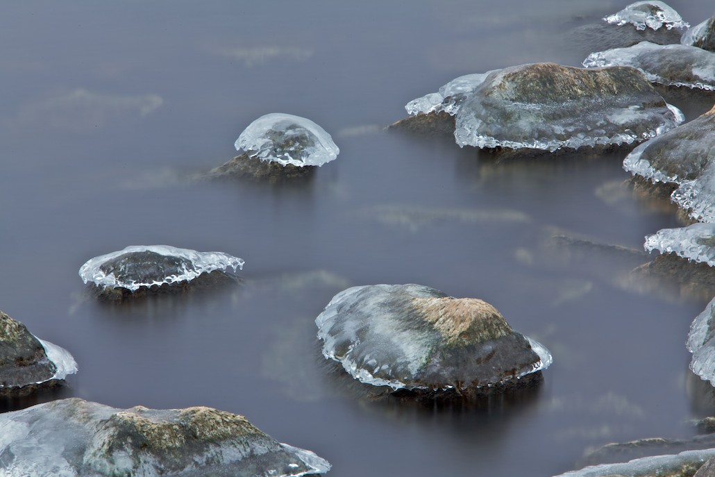 rock mushrooms